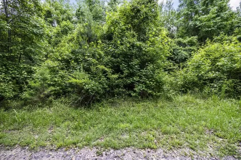 0 Near 4760 Delco Prosper Road Delco NC 28436