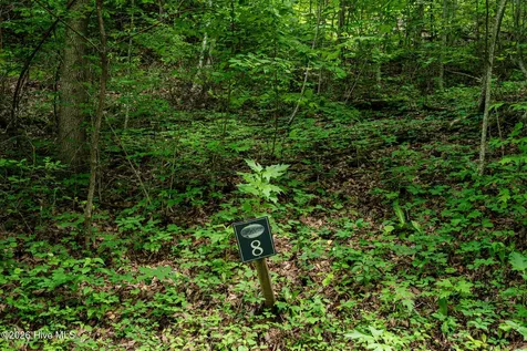 Lot 8 Skyview Drive Hayesville NC 28904
