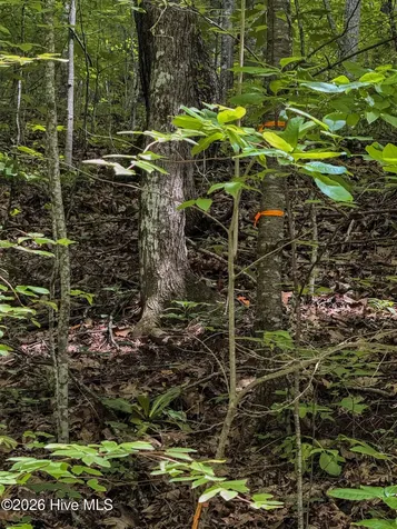 Lot 8 Skyview Drive Hayesville NC 28904