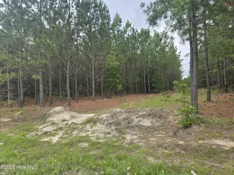 Tract 14 Belford Church Road Jackson Springs NC 27281