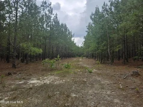 Tract 14 Belford Church Road Jackson Springs NC 27281