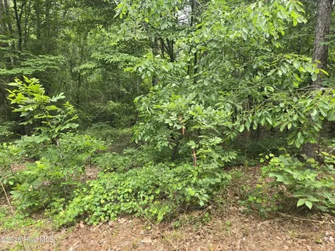Tract 14 Belford Church Road Jackson Springs NC 27281