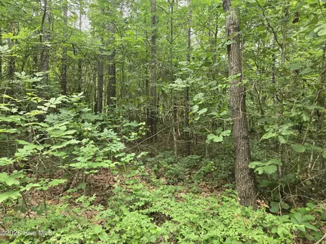 Tract 14 Belford Church Road Jackson Springs NC 27281