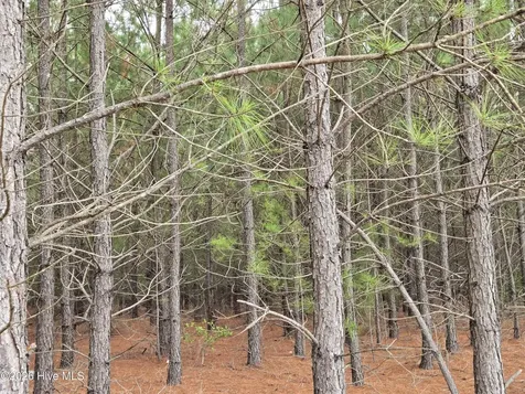Tract 14 Belford Church Road Jackson Springs NC 27281