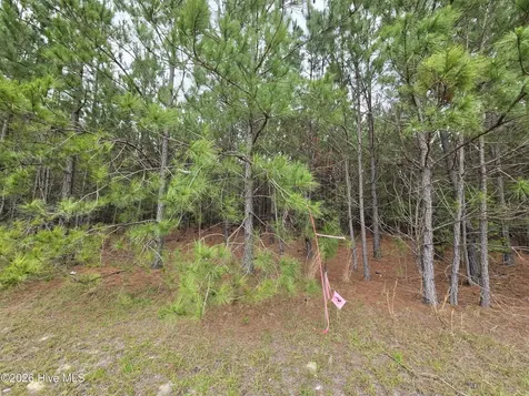 Tract 14 Belford Church Road Jackson Springs NC 27281