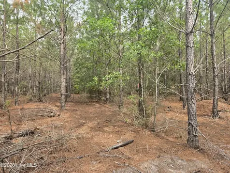 Tract 14 Belford Church Road Jackson Springs NC 27281