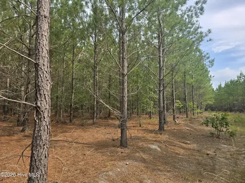 Tract 14 Belford Church Road Jackson Springs NC 27281