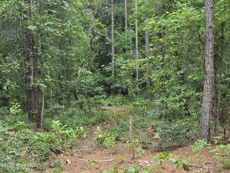 Tract 14 Belford Church Road Jackson Springs NC 27281