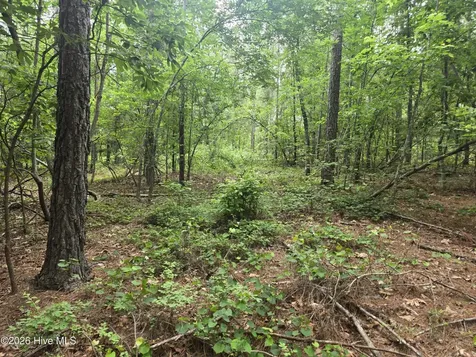 Tract 14 Belford Church Road Jackson Springs NC 27281