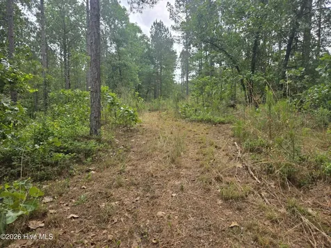 Tract 14 Belford Church Road Jackson Springs NC 27281