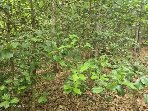 Tract 14 Belford Church Road Jackson Springs NC 27281