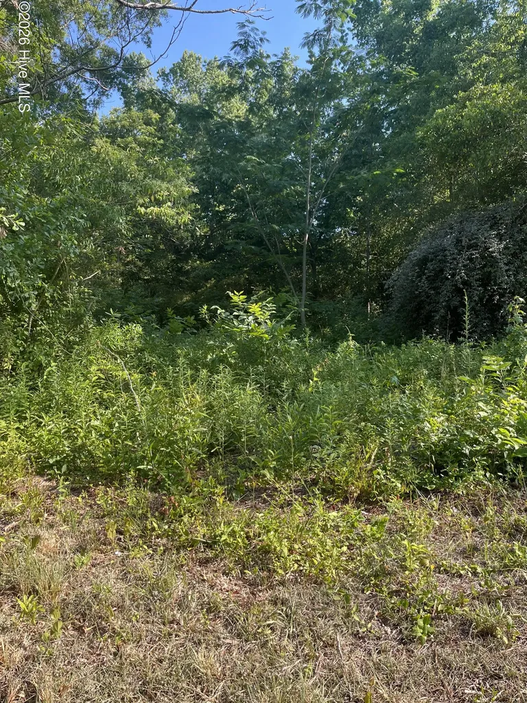 166 Douglas Street Laurinburg NC 28352