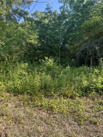 166 Douglas Street Laurinburg NC 28352
