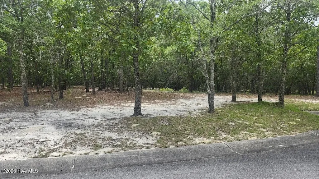 2941 Serrano Trail SE Bolivia NC 28422