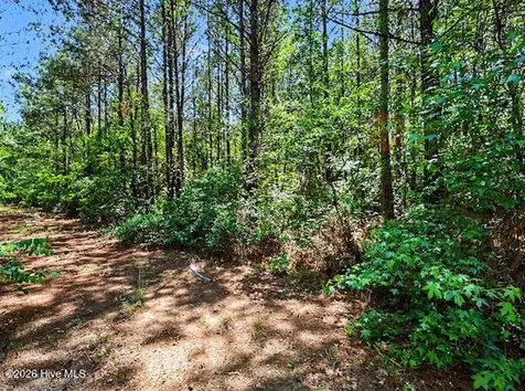 4.47 Ac Purdie Matthews Road Wade NC 28395