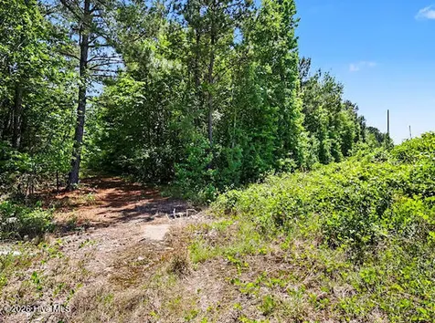 4.47 Ac Purdie Matthews Road Wade NC 28395