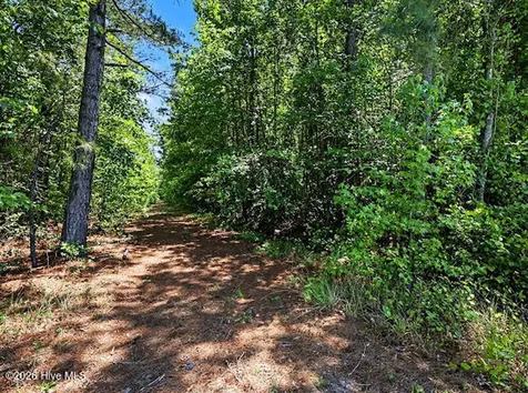 4.47 Ac Purdie Matthews Road Wade NC 28395