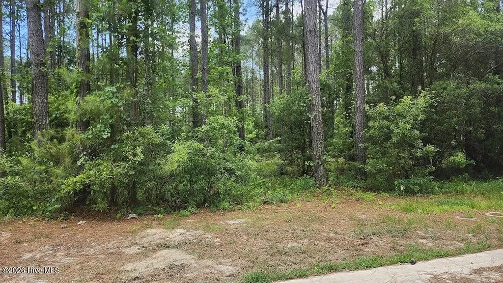 485 Swatara Street SE Bolivia NC 28422