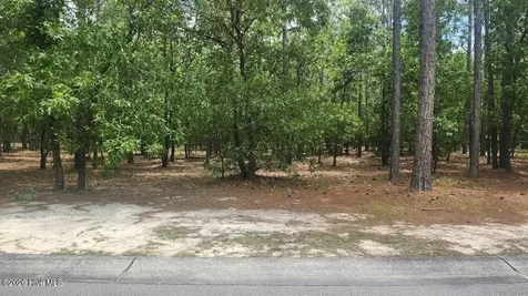 497 Estevao Lane SE Bolivia NC 28422