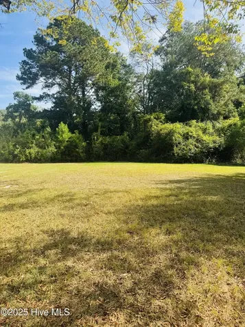 1515 Charlotte Avenue Kinston NC 28501