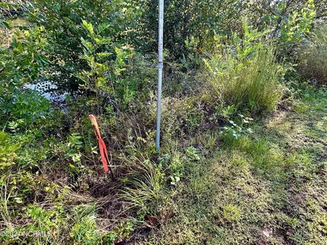 281 Old Sr 1801 Scotland Neck NC 27874