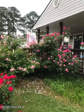 213 Yeopim Trail Edenton NC 27932
