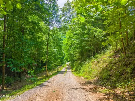 1044 Shell Stand Road Robbinsville NC 28771