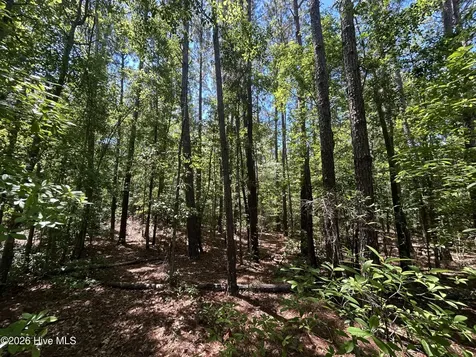 13737 James B White Highway S Tabor City NC 28463