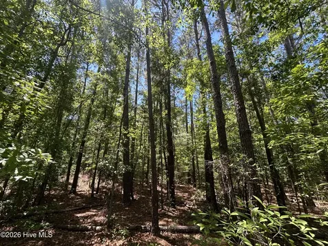 13737 James B White Highway S Tabor City NC 28463