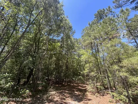 13737 James B White Highway S Tabor City NC 28463