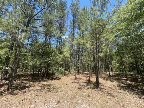 13737 James B White Highway S Tabor City NC 28463
