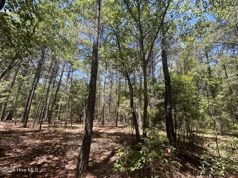 13737 James B White Highway S Tabor City NC 28463