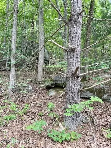 11 Lonesome Pine Road Murphy NC 28906
