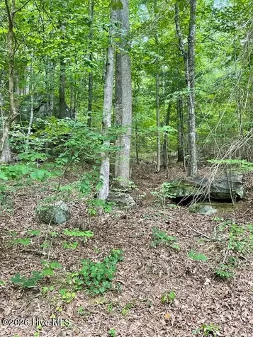 11 Lonesome Pine Road Murphy NC 28906
