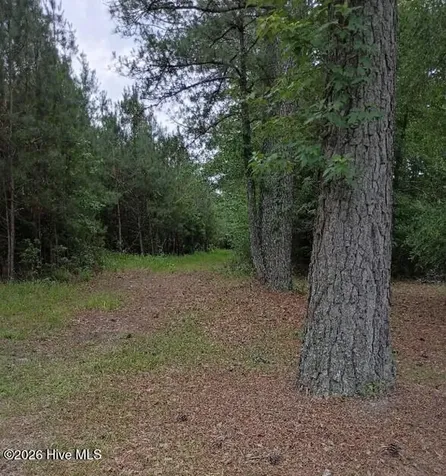 0 Maules Point Road Blounts Creek NC 27814