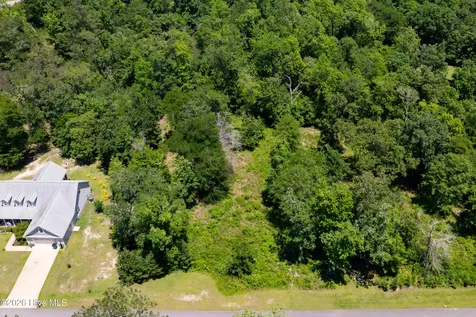 Lot 10 Tree Hill Lane Hubert NC 28539