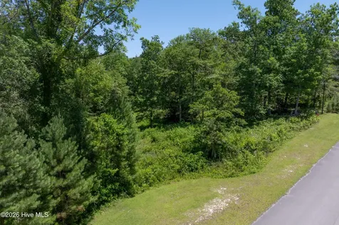 Lot 10 Tree Hill Lane Hubert NC 28539