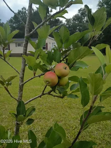 106 Madelyn Drive Richlands NC 28574