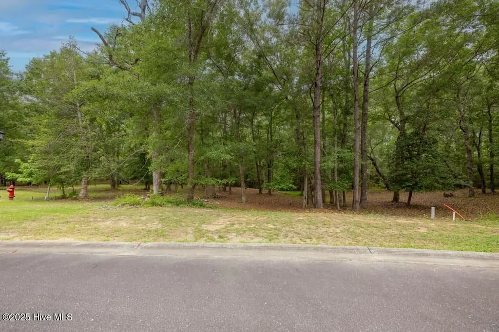 Lot 21 Bay Creek Drive Shallotte NC 28470