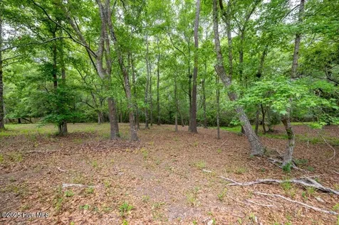Lot 21 Bay Creek Drive Shallotte NC 28470