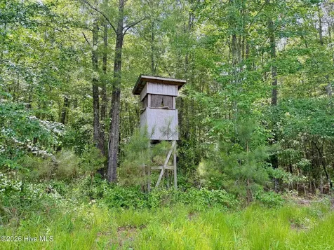 0 Indian Woods Road Windsor NC 27983