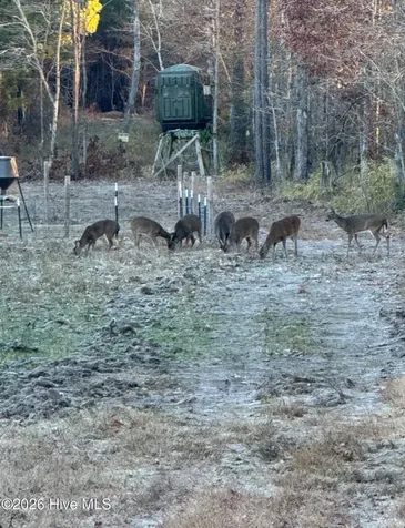 0 Indian Woods Road Windsor NC 27983