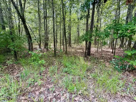 0 Indian Woods Road Windsor NC 27983