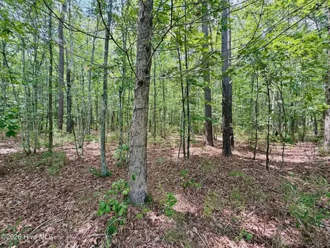 0 Indian Woods Road Windsor NC 27983