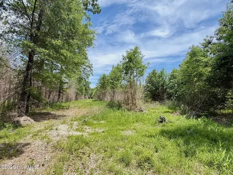 0 Indian Woods Road Windsor NC 27983