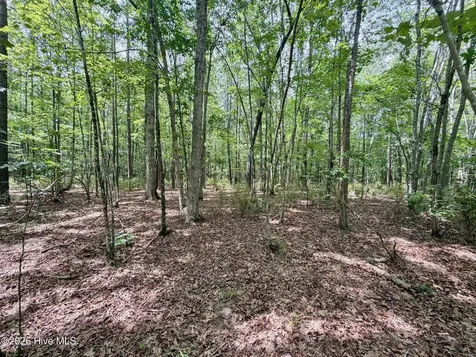 0 Indian Woods Road Windsor NC 27983