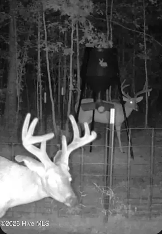 0 Indian Woods Road Windsor NC 27983