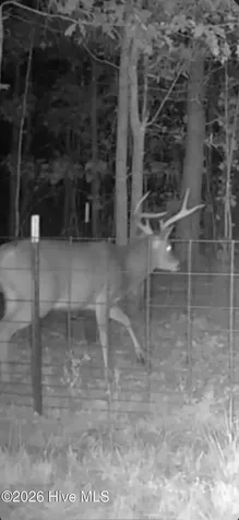 0 Indian Woods Road Windsor NC 27983