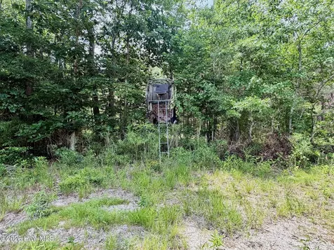 0 Indian Woods Road Windsor NC 27983