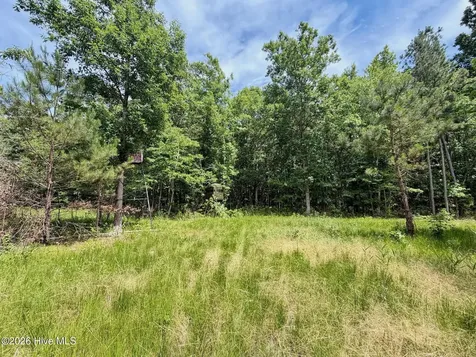 0 Indian Woods Road Windsor NC 27983